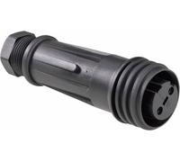 Bulgin PX0921/02/S Cosse cylindrique mâle femelle, droit Nombre total de pôles: 2 Série (connecteur rond): PX 1 pc(s)