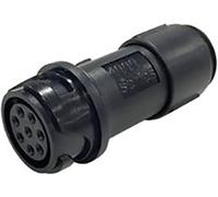 Bulgin PXP4011/08S/5055 Bulk 1 pc(s)