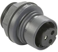 Bulgin PXP6012/02S/ST Cosse cylindrique mâle embase femelle Nombre total de pôles: 2 Série (connecteur rond): PXP 1 pc(s)