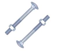 Bulk Hardware Bh05113 Boulon et écrou ZP M6 x 65 mm, lot de 25 pièces