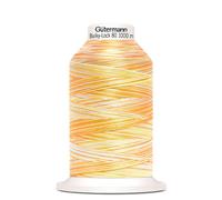 Bulky-Lock 80 1.000 M Multicolor (Boite De 5)