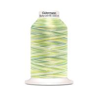 Bulky-Lock 80 1.000 M Multicolor (Boite De 5)
