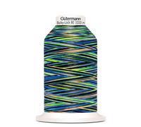 Bulky-Lock 80 1.000 M Multicolor (Boite De 5)