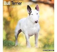 Bull Terrier 2027 Calendar | Square Wall Calendar | Dog Breed Gift | Plastic Free Packaging | by Avonside Publishing