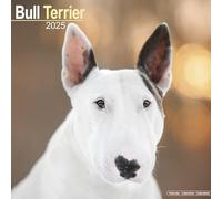 Bull Terrier Calendar 2025 Square Dog Breed Wall Calendar - 16 Month