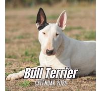 Bull Terrier Calendar 2026: 12 Months Organizer From January to December