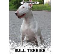 Bull Terrier Photo Book: Muscular Terrier Breed Images Displaying Distinctive Egg-Shaped Head And Energetic Playful Moments In Expressive Pet Photography