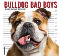 Bulldog Bad Boys 2025 12 X 12 Wall Calendar
