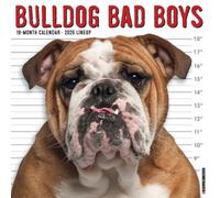 Bulldog Bad Boys 2026 12 X 12 Wall Calendar