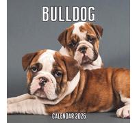 Bulldog Calendar 2026: 14-Month Organizer from Nov 2025 to Dec 2026 | Perfect for Home, Office, School & Family Scheduling, For Men , Women , Girls , Boys
