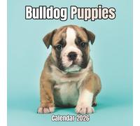 Bulldog Puppies Calendar 2026: 14-Month Organizer from Nov 2025 to Dec 2026 | Perfect for Home, Office, School & Family Scheduling, For Men , Women , Girls , Boys