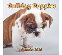 Bulldog Puppies Calendar 2026: Organizer For Home & Office From January to December For Men, Women