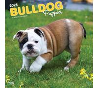 Bulldog Puppies | Calendrier mural mensuel carré 2025 30,5 x 61 cm | Sans plastique | BrownTrout | Animaux races de chiens