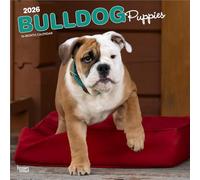 Bulldog Puppies | Calendrier mural mensuel carré 2026 30,5 x 61 cm | Sans plastique | BrownTrout | Animaux races de chiens