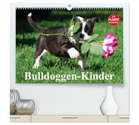 Bulldoggen-Kinder (hochwertiger Premium Wandkalender 2026 DIN A2 quer), Kunstdruck in Hochglanz: Kleine Herzensbrecher ganz groß!