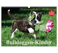 Bulldoggen-Kinder (Wandkalender 2026 DIN A3 quer), CALVENDO Monatskalender: Kleine Herzensbrecher ganz groß!
