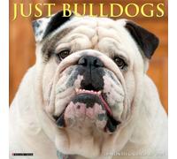 Bulldogs 2027 Wall