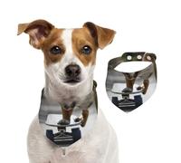 Bulldogs Anglais Bokeh Skateboard Animaux de Compagnie Anglais,Bandanas pour Chien, écharpe en Coton, Bavoirs réglables pour Animaux de Compagnie,M