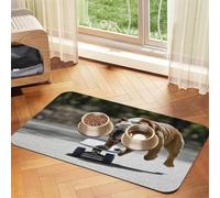 Bulldogs Anglais Bokeh Skateboard Animaux de Compagnie Anglais,Tapis d'alimentation pour Animaux de Compagnie, Sets de Table en Cuir PU pour Chats et Chiens,40x60cm