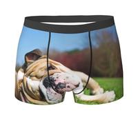 Bulldogs Anglais, Chiens fatigués, Animaux de Compagnie, Anglais, sous-vêtements pour Hommes, caleçons Boxeurs Confortables, Doux et Extensibles pour Homme