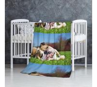 Bulldogs Anglais Chiens fatigués Animaux de Compagnie sur la pelouse Anglais,Couverture Douce et Chaude en Flanelle Anti-Boulochage 76 x 127 cm