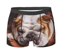 Bulldogs Anglais, museau, Animaux de Compagnie, Chiens endormis, sous-vêtements pour Hommes, caleçons Boxeurs Confortables, Doux et Extensibles pour Homme
