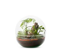 BULLE DE NATURE-Terrarium Bulle de Nature Mini Monde en verre transparent Naturalys taille L - diamètre 27 x 27 cm