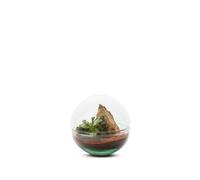 BULLE DE NATURE-Terrarium Bulle de Nature Mini Monde en verre transparent Naturalys taille S - diamètre 12 x 12 cm