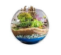 Bulle décorative pour mini-jardin en lév