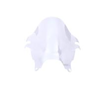 Bulle / Saute vent en PVC Transparente SUZUKI GSF 600 S BANDIT 2000-2005