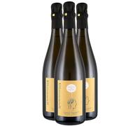Bulles de Roche Brut - Blanc 2022 - Domaine des Roches Neuves - Saumur - Vin Blanc du Val de Loire (3x75cl)
