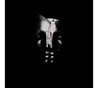 BULLET FOR MY VALENT - CD ALBUM - F123z