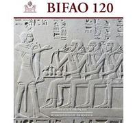 Bulletin de l'institut français d'archéologie orientale Collectif (Auteur)