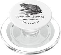 Bullfrog Vintage Animal Fauna Prints Rana Catesbeiana PopSockets PopGrip pour MagSafe