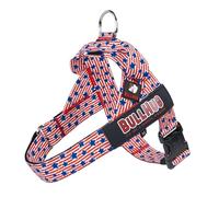 BULLHUG Harnais - Fabriqué pour les grands chiens à poitrine comme les bouledogues anglais, les bouledogues français, les carlins et plus encore. Empêche les chiens de tirer et de s'étouffer lors des