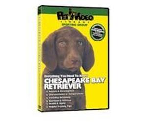 BULLMASTIFF DVD! + Dog & Puppy Training Bonus
