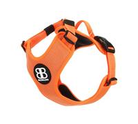 BullyBillows Active Light Harnais pour Chien avec Poignée | Harnais de Qualité Supérieure avec Doublure Rembourrée et Design Hautement Réfléchissant | pour Toutes Les Races de Chiens | Orange | Petit
