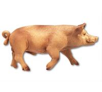Bullyland - 62310 - Pion - Porc