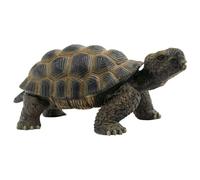 Bullyland - B63553 - Figurine Tortue De Terre - 13 cm