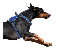 BUMBIN Tactical Dog Harness for Small Dogs No Pull, Famous TIK Tok No Pull Puppy Harness, Fit Smart Reflective Pet Walking Harness for Training, Adjustable Dog Vest Harness with Handle Blue Camo XL