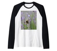 Bumblebee On Lavender Close Up Photographie Manche Raglan