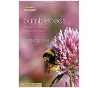 Bumblebees 2e C