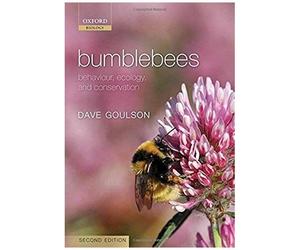 Bumblebees 2e C