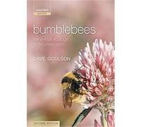 Bumblebees Dave Goulson (Auteur)