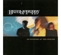 Bumblepuppy - Evening at the Feelies