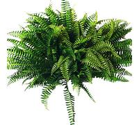 Bumdenuu 10 PièCes SéRies Artificiel Boston Fern Bush Usine de Soie la Pendaison Les Faux la DéCoration de Maison