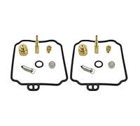 Bumdenuu Lot de 2 kits de réparation de carburateur de moto et joint de siège pour Hyosung GV250 Aquila UM V2C-2 TgTEUS