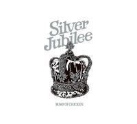 Bump Of Chicken Tour 2022 Silver Jubilee At Zepp Haneda(Tokyo) () [Blu-Ray]