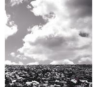 BUMP OF CHIKEN - Hana No Na [DE Import]