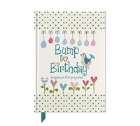 Bump to Birthday, Pregnancy & First Year Journal.